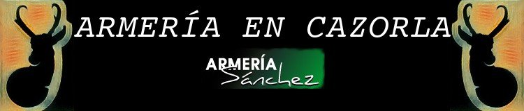Logo Armería Sánchez